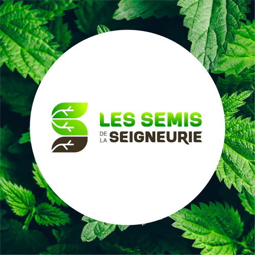 Nouvelles du mois de Juin