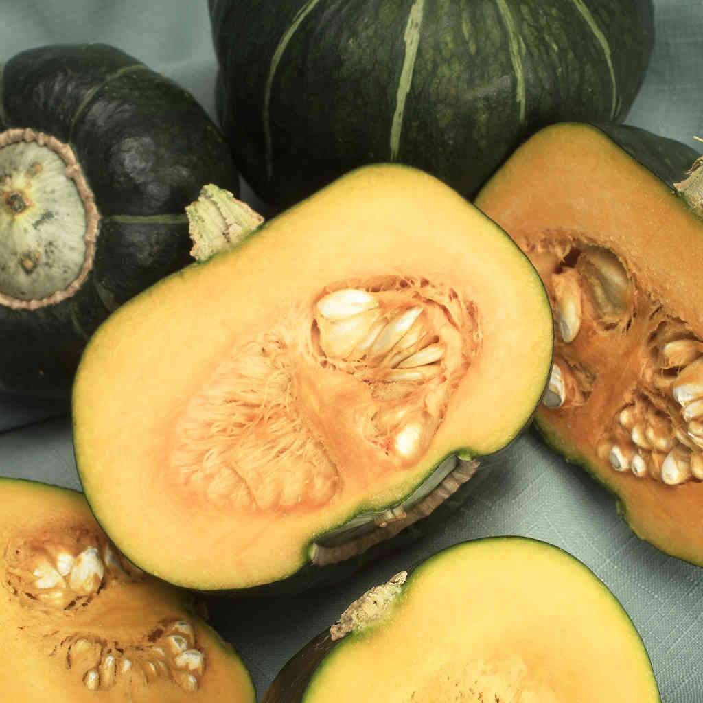 Courge - Buttercup