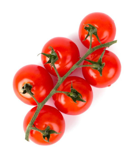 Tomate - Tiny Tim (Cerise) (Déterminée)