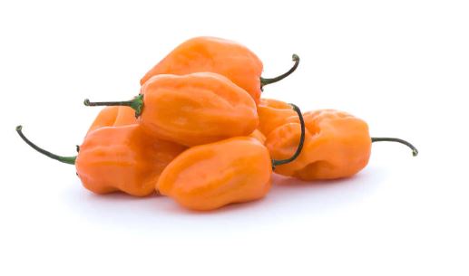 Pepper - Orange Habanero